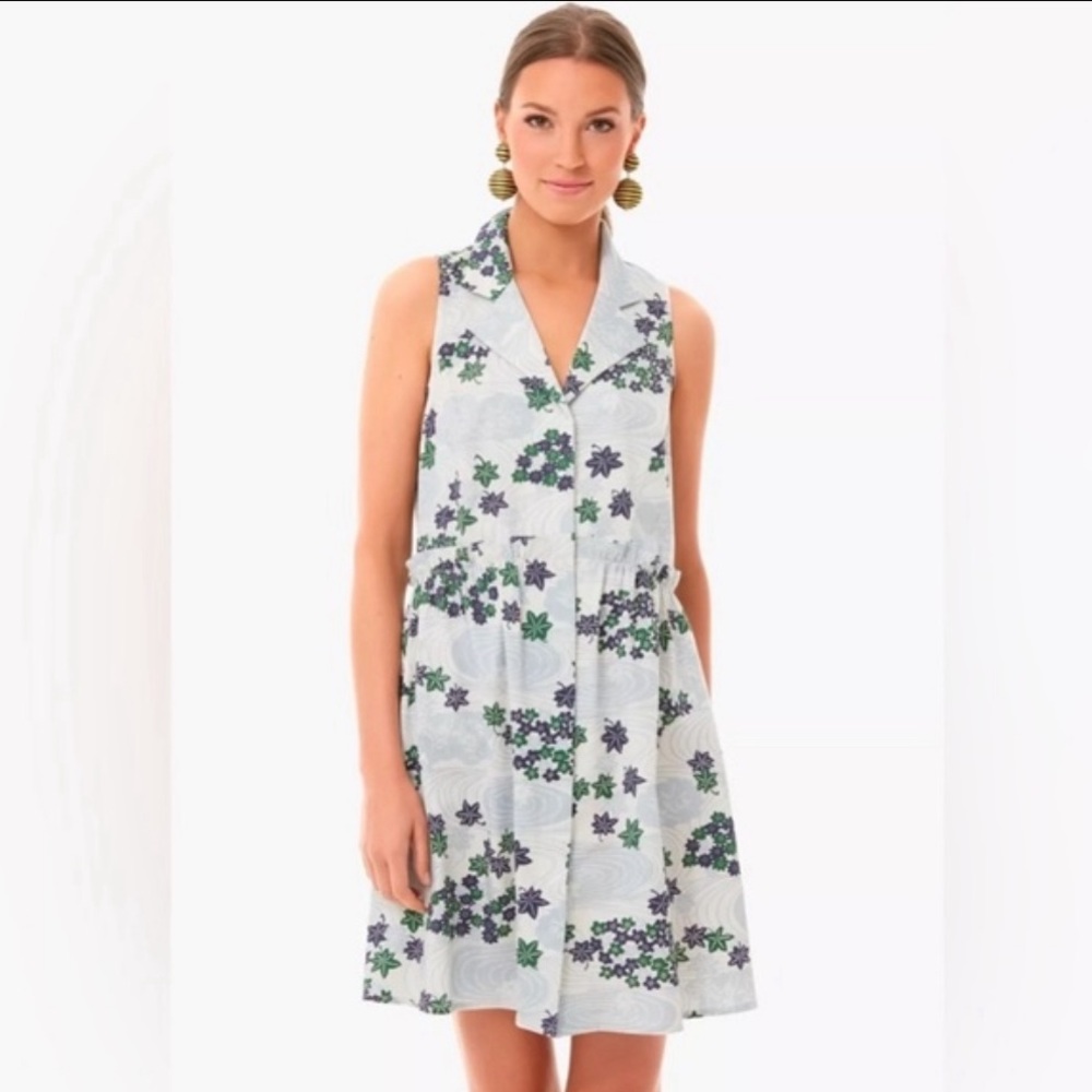 Tuckernuck Royal Shirtdress Coastal Preppy Province Breeze Floral Print Blue S - Picture 15 of 15
